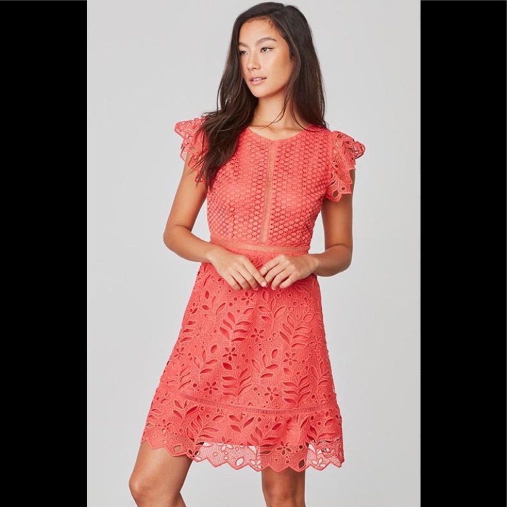 NWOT BB Dakota Ariane dress 🌺🌷